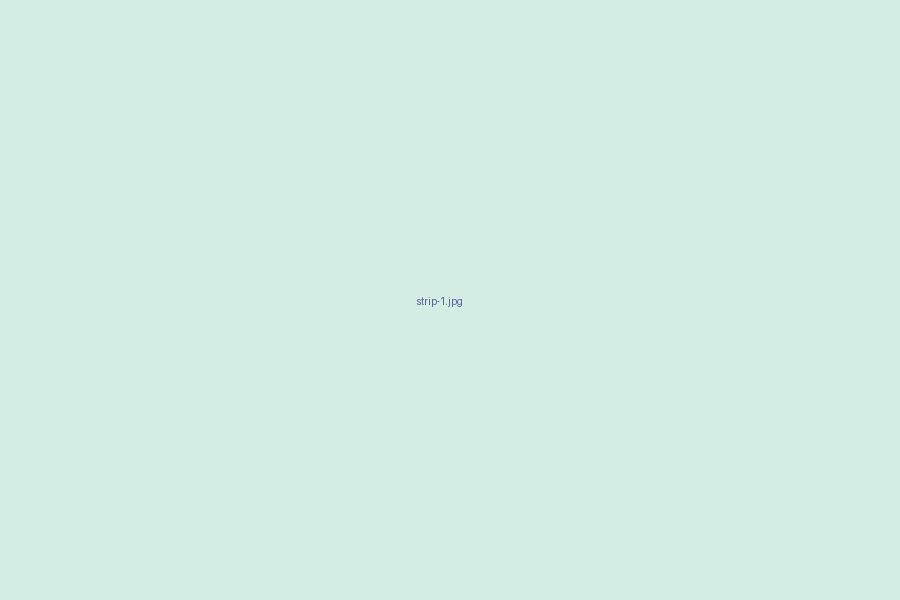 Preview of a project (replace with your own image)