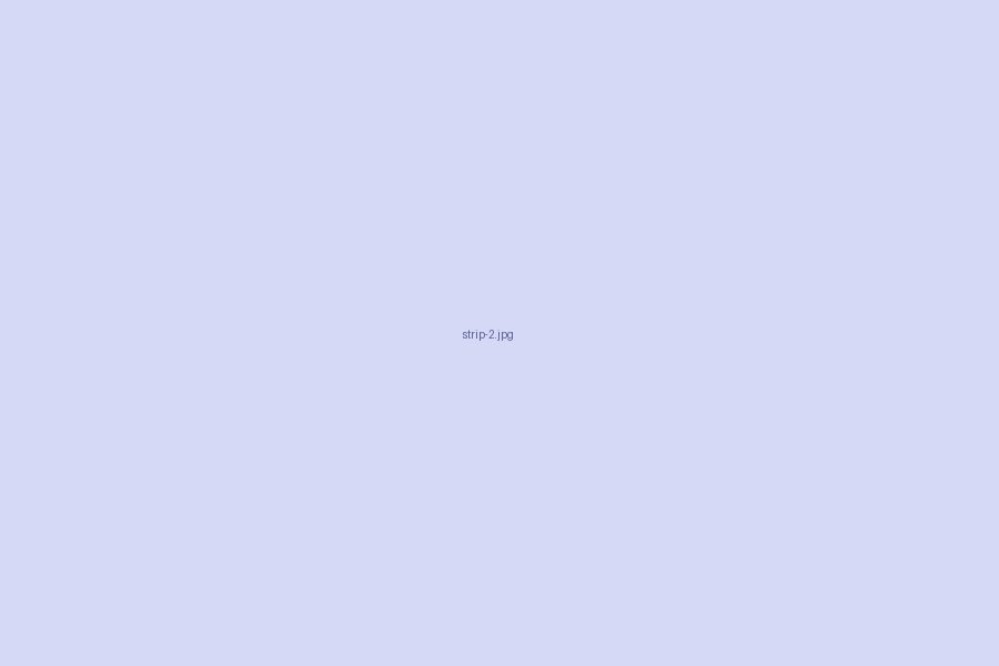 Preview of a project (replace with your own image)